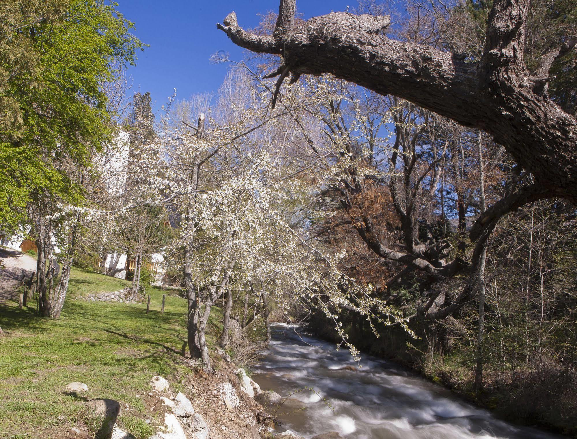 卡瓦尼亚斯卢卡旅福酒店 San Martín de los Andes 外观 照片